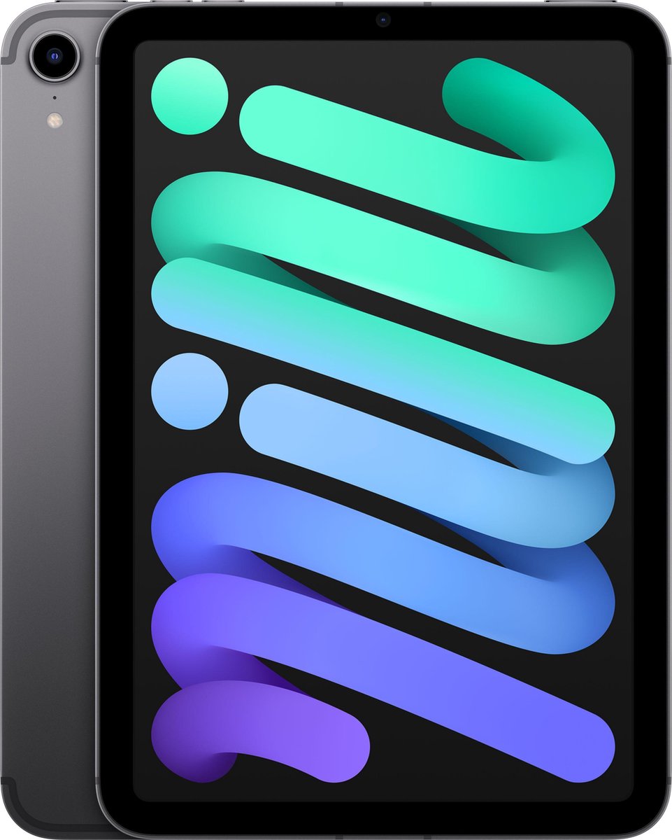 Apple iPad mini (2021) - 8.3 inch - WiFi + 5G - 256GB - Spacegrijs - 6e generatie (0194252509074)