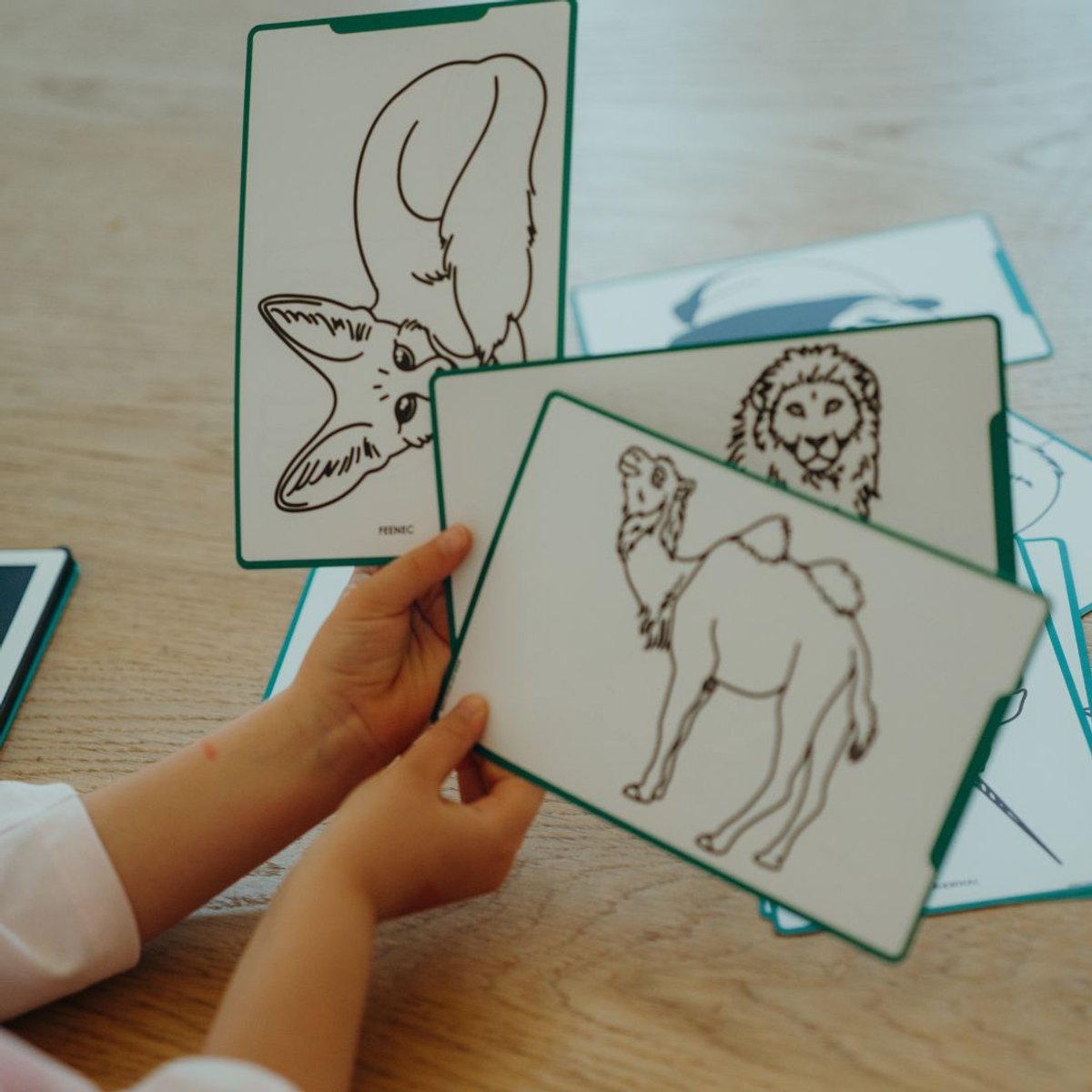 BEAU by Bo Kidywolf Kidydraw Mini Tekenboek met LCD-scherm Galaxy + Refill Once upon a time & Animals (5415188860950)