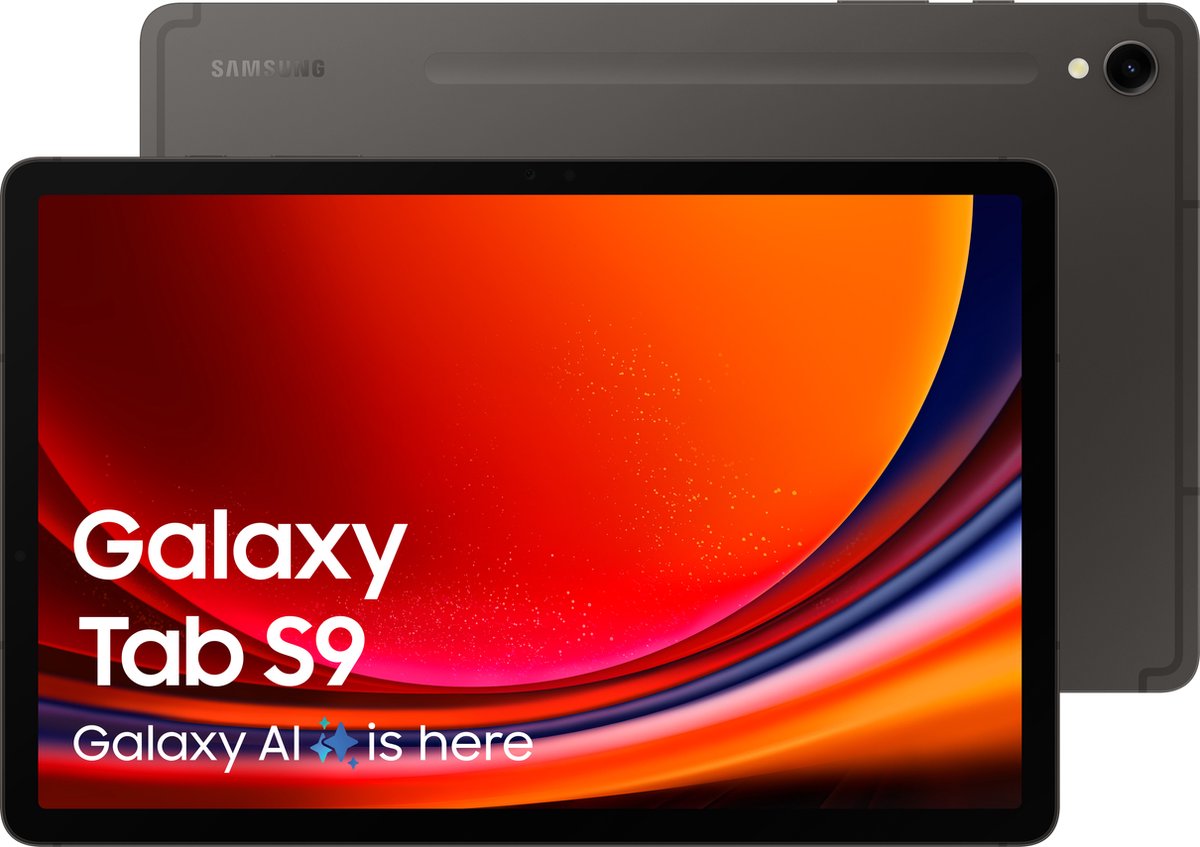 Samsung Galaxy Tab S9 - WiFi - 256GB - Graphite (8806095084046)